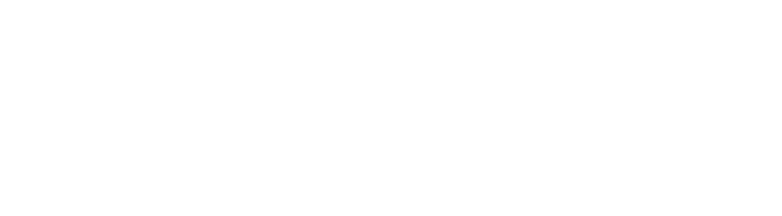 PPL Trainer Logo